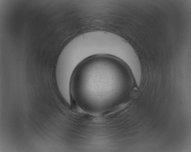 X0000067480088200604211644