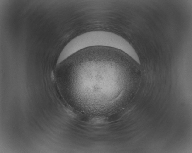 X0000067480089200604211644