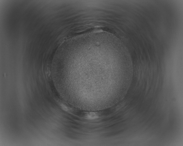 X0000067480091200604211644