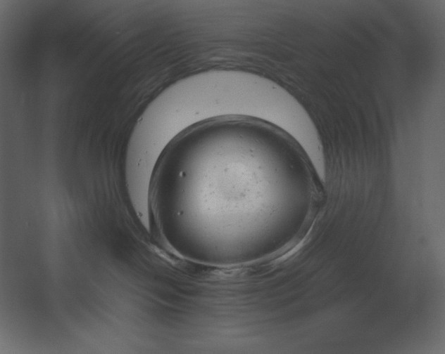 X0000067480094200604211644