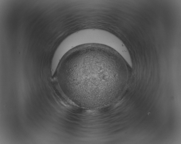 X0000067480095200604211644