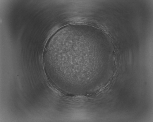 X0000067480099200604211643