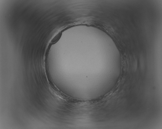 X0000067480100200604211643