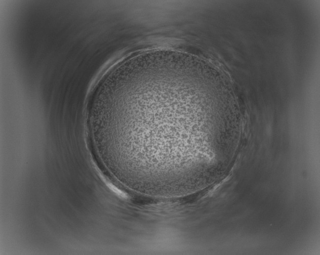 X0000067480101200604211643