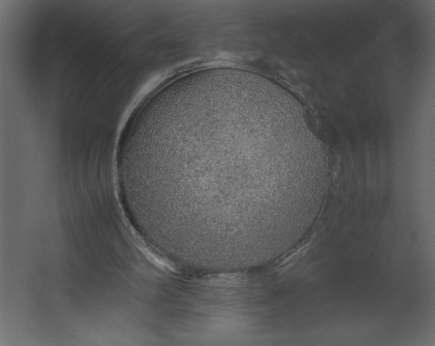 X0000067480102200604211643