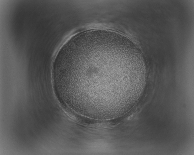 X0000067480103200604211643