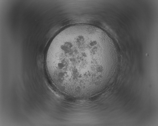 X0000067480107200604211643