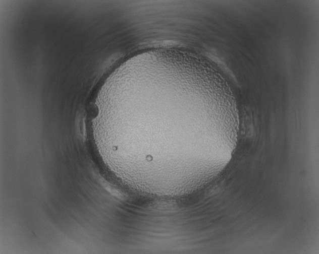 X0000067480110200604211643