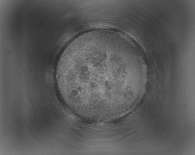 X0000067480111200604211643