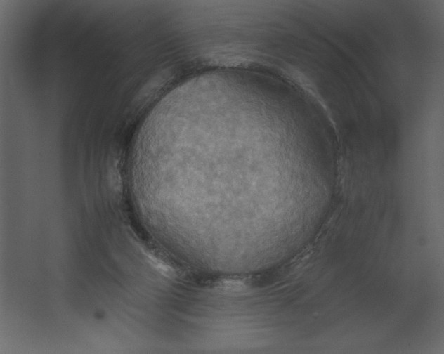 X0000067480114200604211643