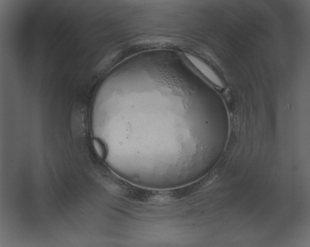 X0000067480119200604211643