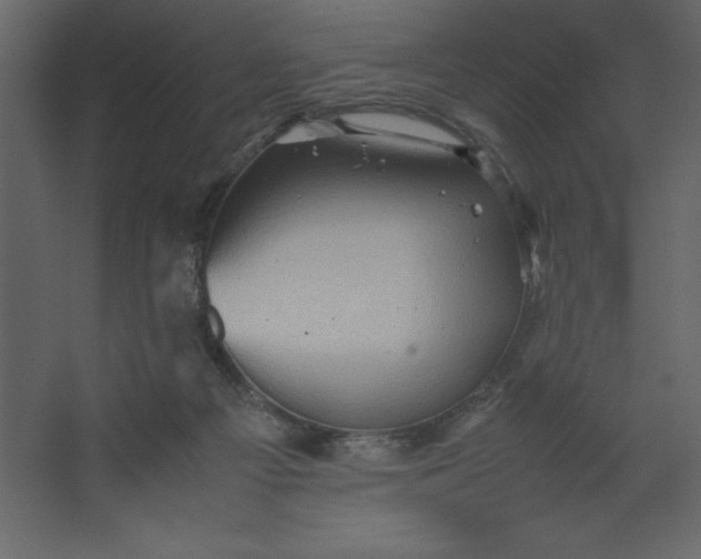 X0000067480121200604211643