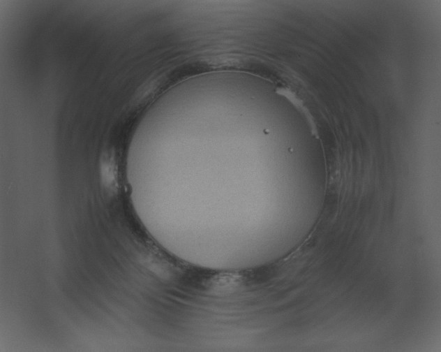 X0000067480124200604211643