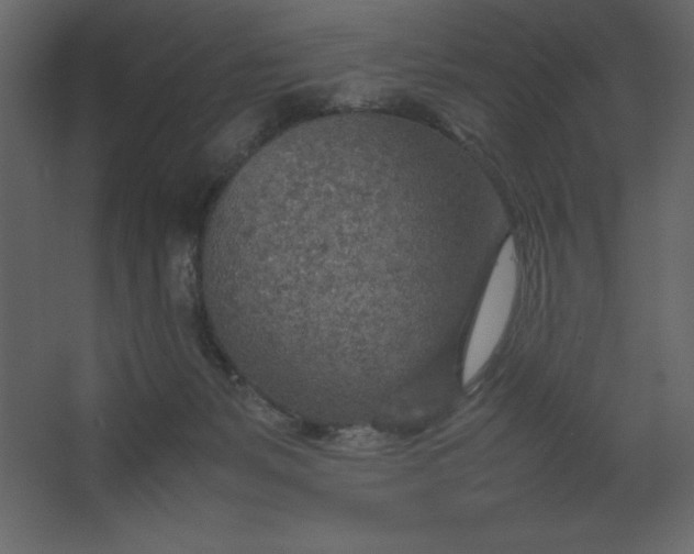 X0000067480127200604211643