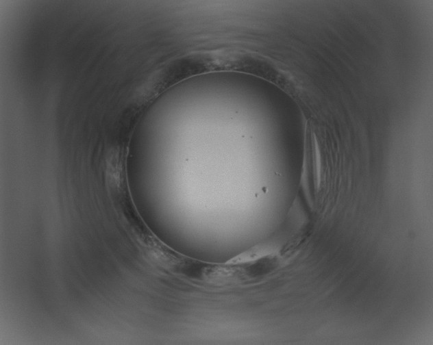 X0000067480129200604211643