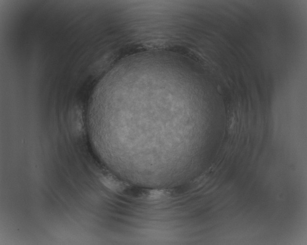 X0000067480130200604211643