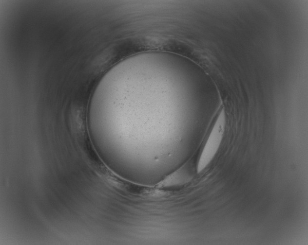 X0000067480131200604211643