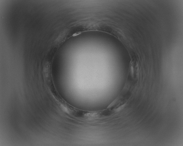 X0000067480133200604211643