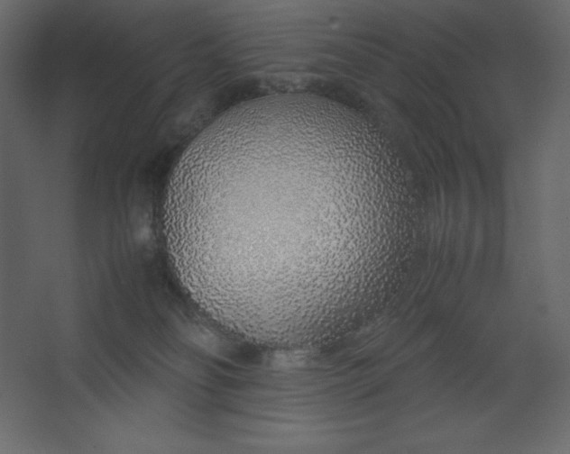 X0000067480134200604211643