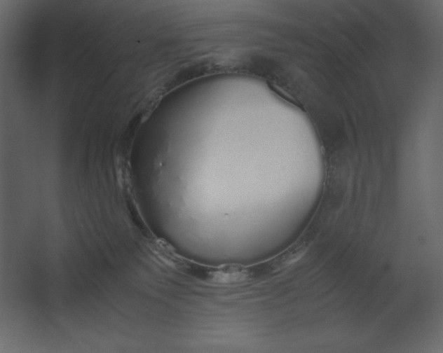 X0000067480135200604211643