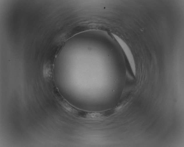 X0000067480137200604211643