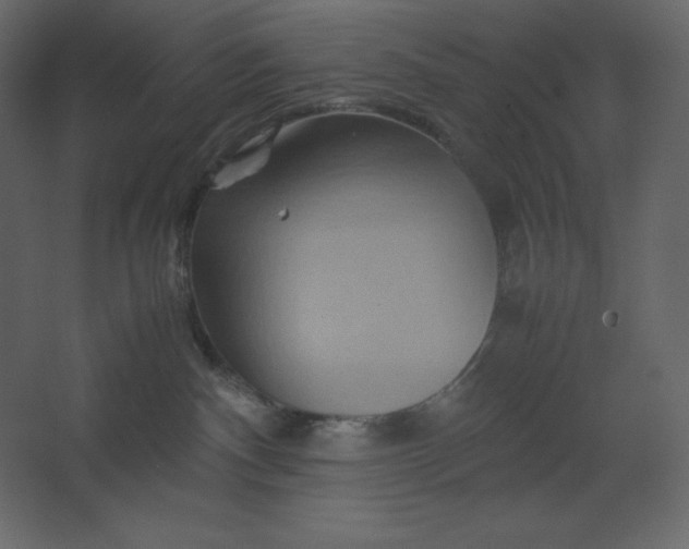 X0000067480140200604211643