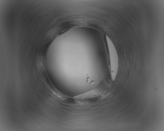 X0000067480141200604211643