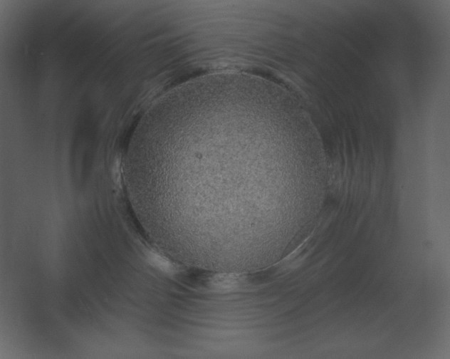 X0000067480142200604211643