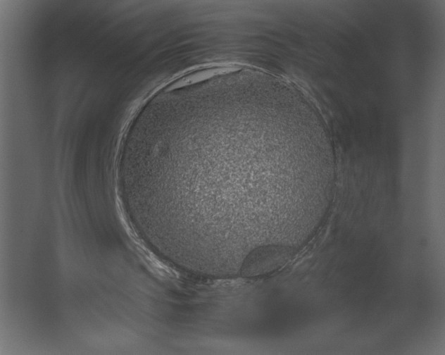 X0000067480145200604211642