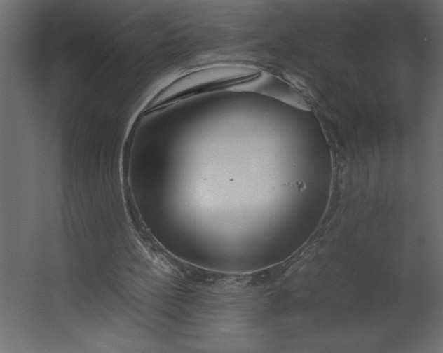 X0000067480148200604211642