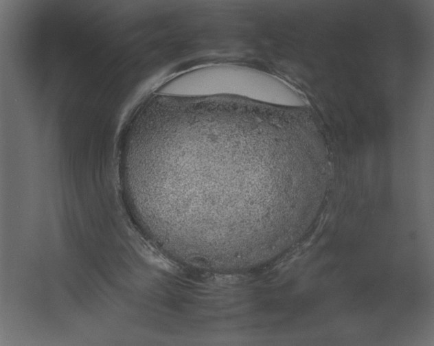 X0000067480149200604211642