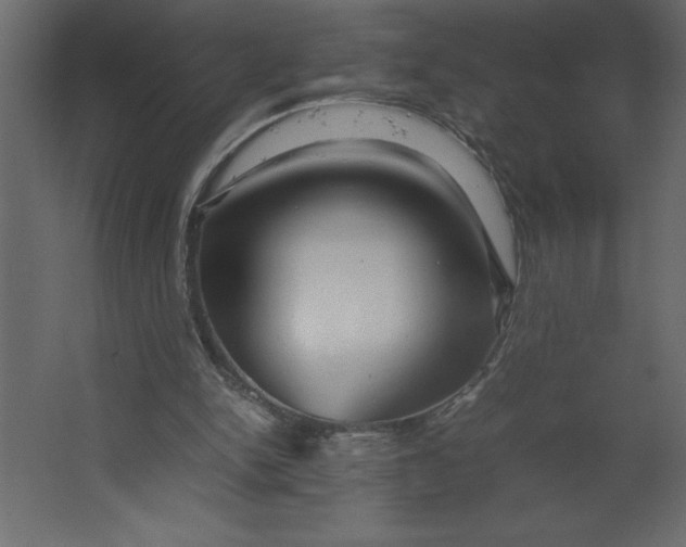 X0000067480150200604211642