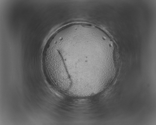 X0000067480151200604211642