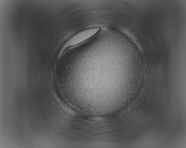 X0000067480153200604211642