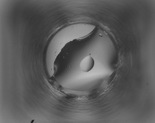 X0000067480154200604211642