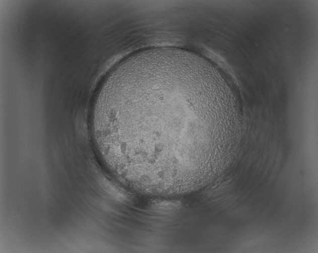 X0000067480155200604211642