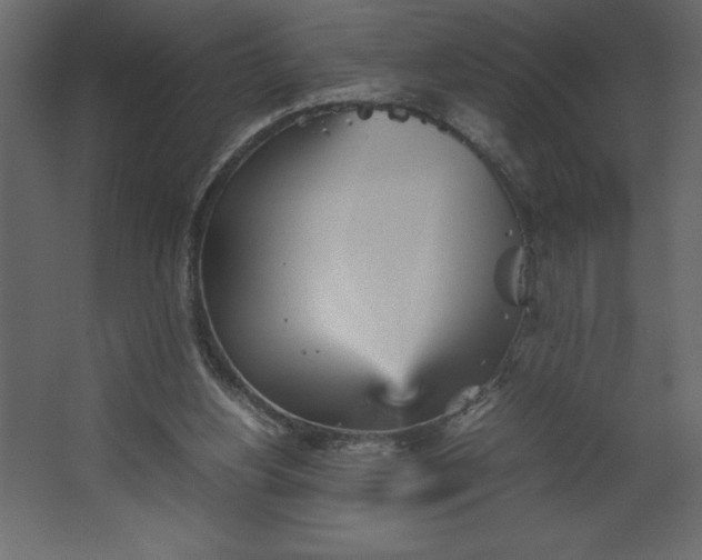 X0000067480156200604211642