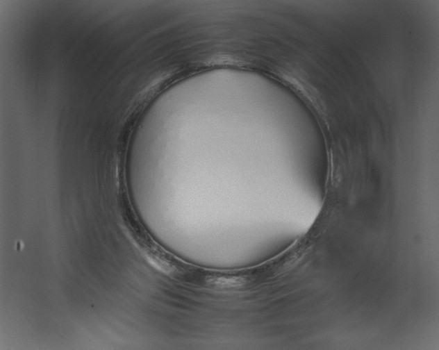 X0000067480157200604211642