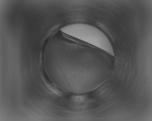 X0000067480163200604211642