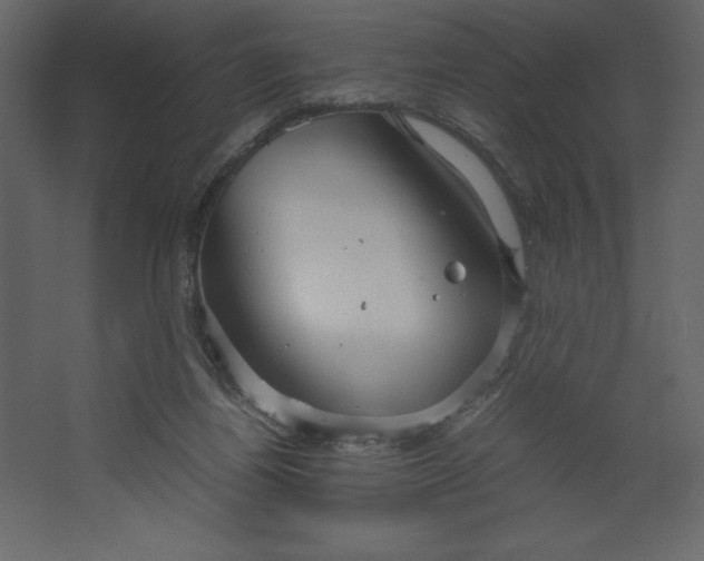 X0000067480164200604211642