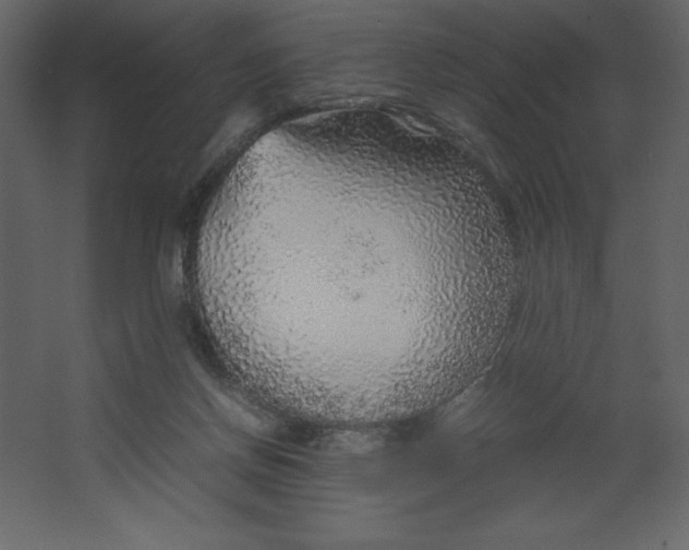 X0000067480166200604211642