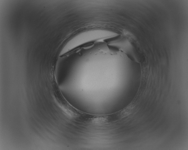 X0000067480168200604211642