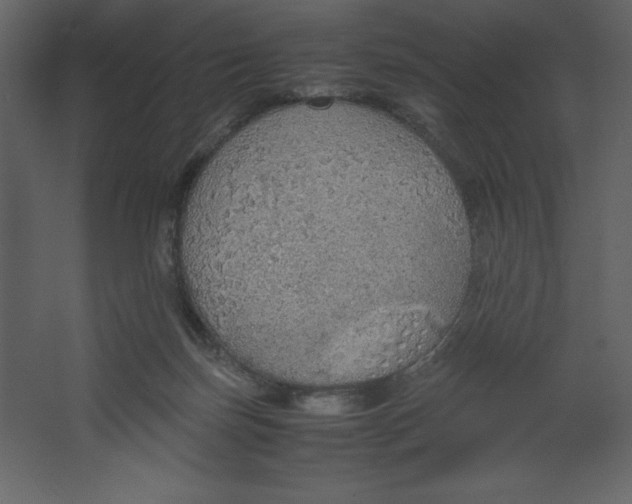 X0000067480171200604211642