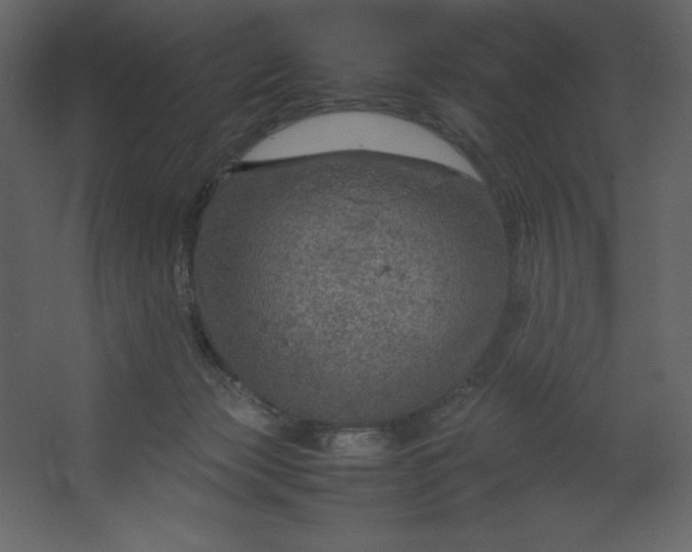 X0000067480173200604211642