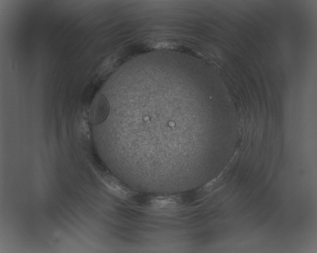 X0000067480175200604211642