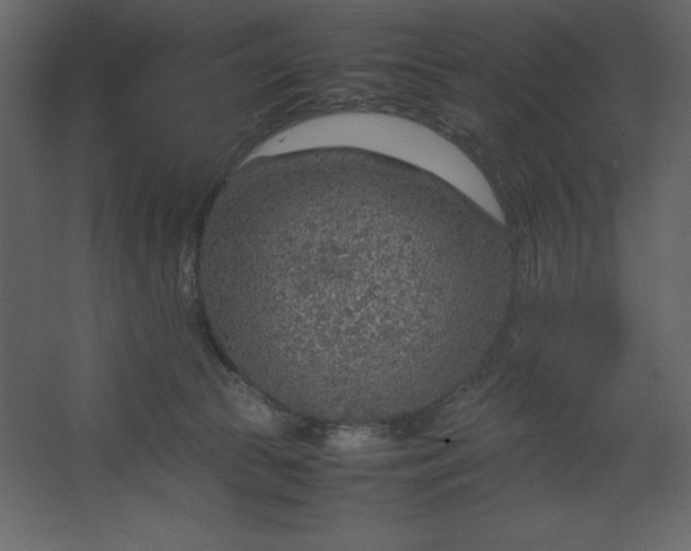 X0000067480177200604211642