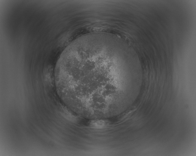 X0000067480181200604211642