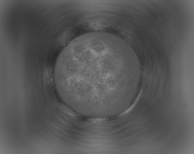 X0000067480182200604211642