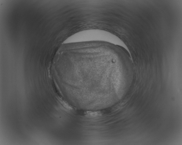 X0000067480185200604211642