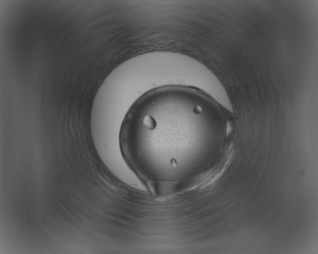 X0000067480186200604211642